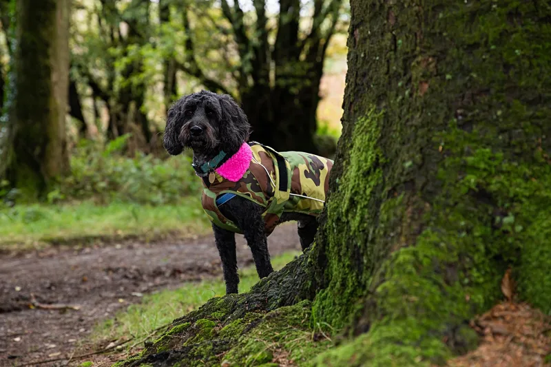 Dryrobe Dog Coat Camo/Pink-11